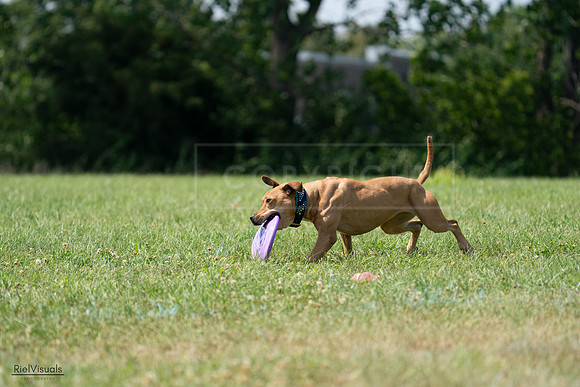 RielVisuals_20240728_150748_SJR00165