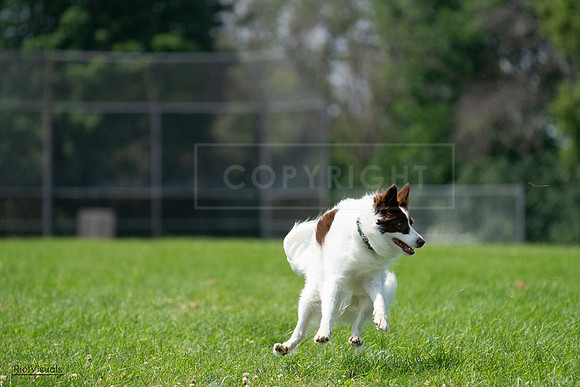 RielVisuals_20240728_121131_SJR03236