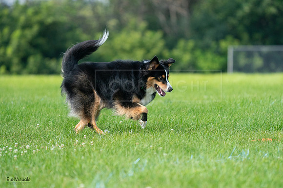RielVisuals_20240728_100326_SJR07076