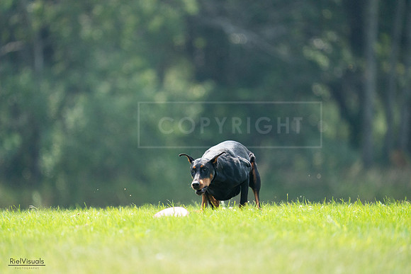 RielVisuals_20240727_121325_SJR05025