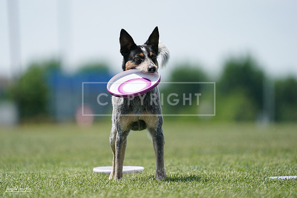 RielVisuals_20240525_122338_SJR09743