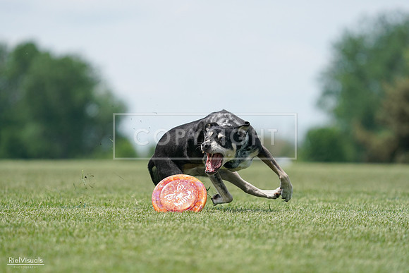 RielVisuals_20240525_123143_SJR00214