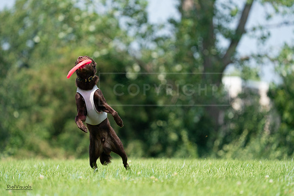 RielVisuals_20240727_114643_SJR03912