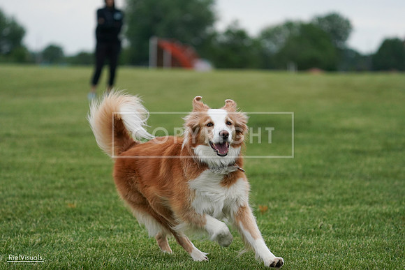 RielVisuals_20240525_170859_SJR06277