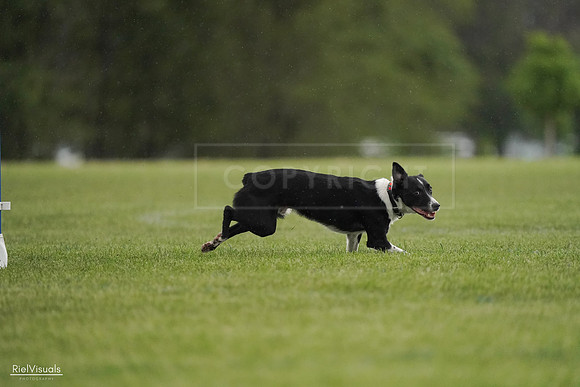 RielVisuals_20240526_093442_SJR00461