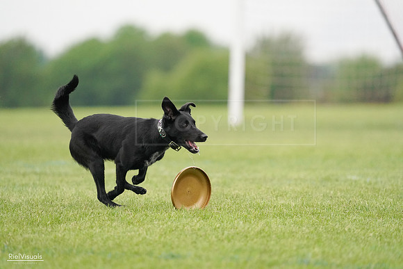 RielVisuals_20240527_110339_SJR02752
