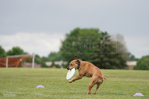 RielVisuals_20240526_135014_SJR09191