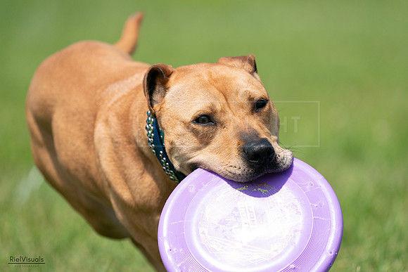 RielVisuals_20240728_114521_SJR01882