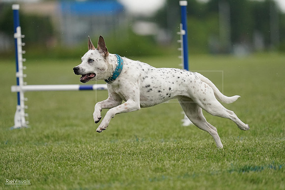 RielVisuals_20240526_090746_SJR09134