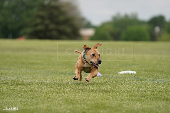 RielVisuals_20240526_135017_SJR09202