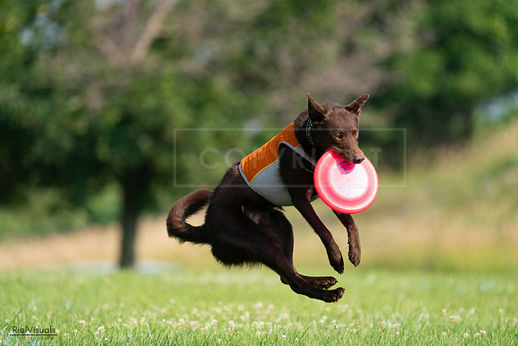 RielVisuals_20240727_092520_SJR06293