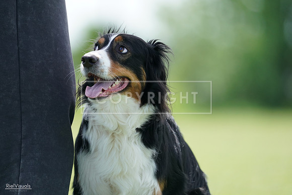 RielVisuals_20240525_122805_SJR09931