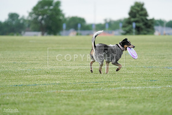 RielVisuals_20240525_170112_SJR05873