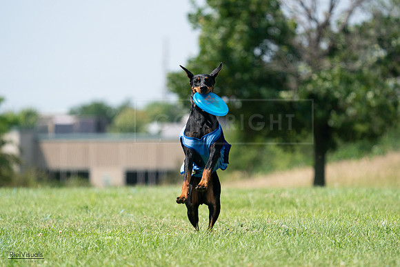 RielVisuals_20240728_145907_SJR09795