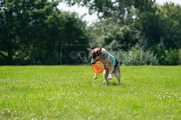 RielVisuals_20240728_124921_SJR04752