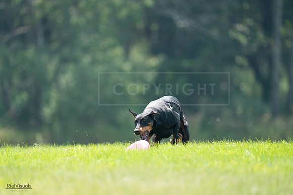 RielVisuals_20240727_121325_SJR05026