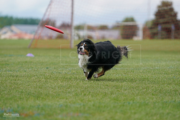 RielVisuals_20240527_142424_SJR02646