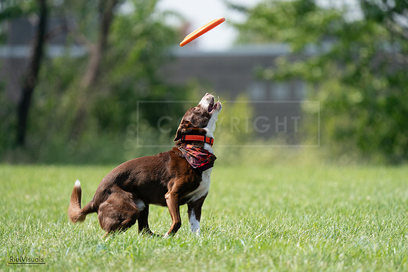 RielVisuals_20240728_151102_SJR00264
