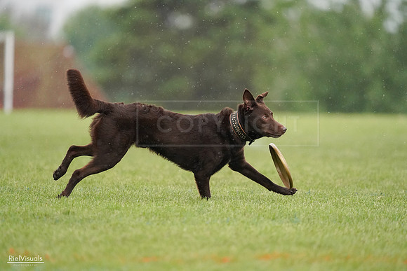 RielVisuals_20240527_103922_SJR00976
