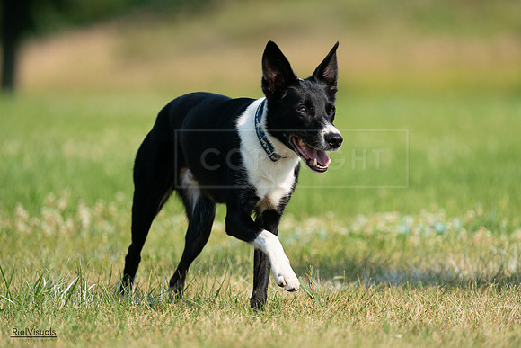 RielVisuals_20240727_094622_SJR07513