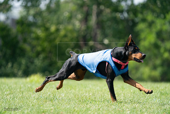 RielVisuals_20240728_151244_SJR00298