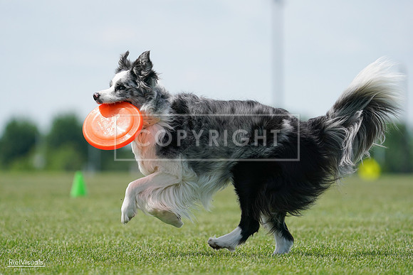RielVisuals_20240525_123541_SJR00476