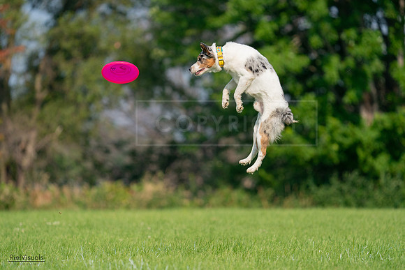 RielVisuals_20240727_092206_SJR05985
