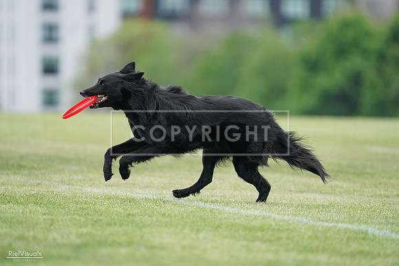 RielVisuals_20240525_165019_SJR05596