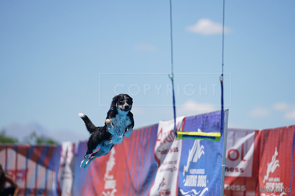 SJR00517