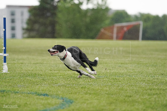 RielVisuals_20240526_093359_SJR00369