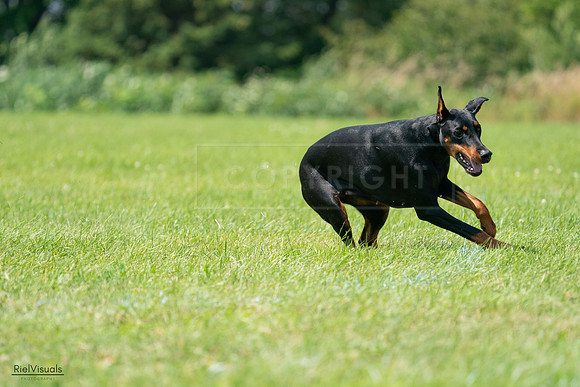 RielVisuals_20240728_122731_SJR03934