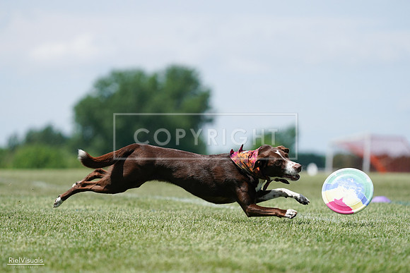 RielVisuals_20240525_121934_SJR09495