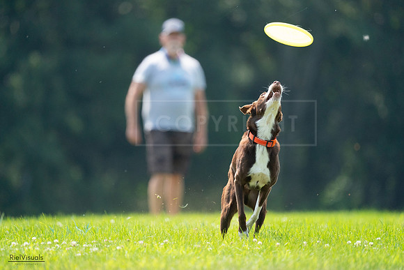 RielVisuals_20240727_121113_SJR04952