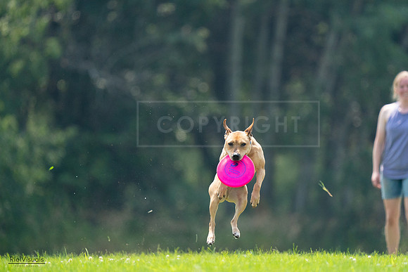 RielVisuals_20240727_121936_SJR05337