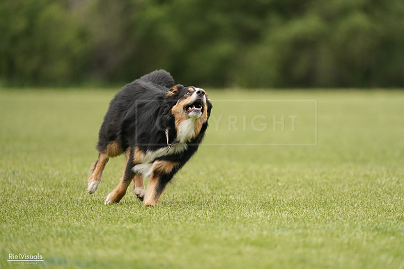 RielVisuals_20240527_133201_SJR00108