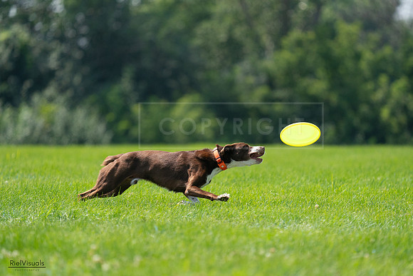 RielVisuals_20240727_125114_SJR06228