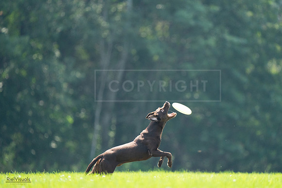 RielVisuals_20240727_123353_SJR05873