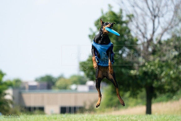 RielVisuals_20240728_145906_SJR09788