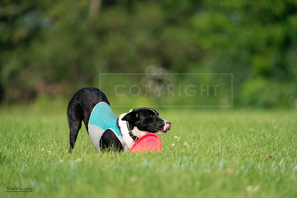RielVisuals_20240727_094235_SJR07339