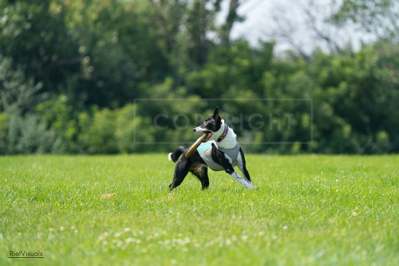 RielVisuals_20240728_115747_SJR02545