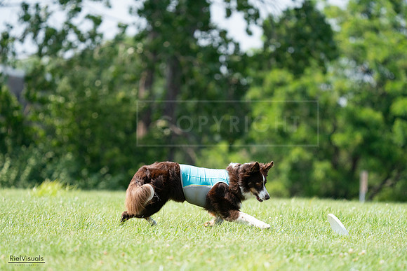 RielVisuals_20240728_144655_SJR09094