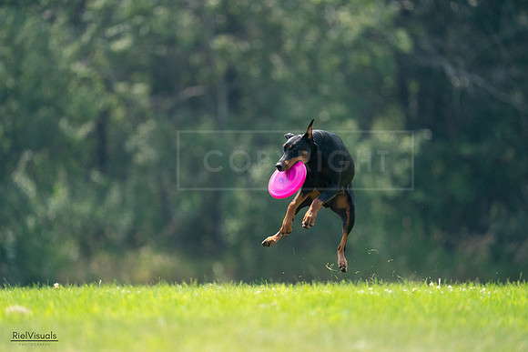 RielVisuals_20240727_121301_SJR04999