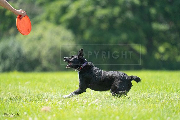 RielVisuals_20240728_115526_SJR02392