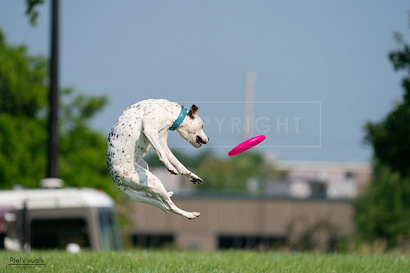 RielVisuals_20240727_095413_SJR07962