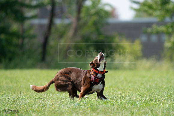 RielVisuals_20240728_151102_SJR00262