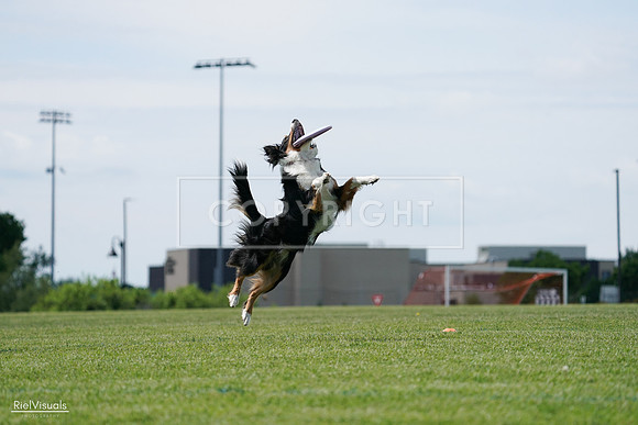 RielVisuals_20240525_122841_SJR09971