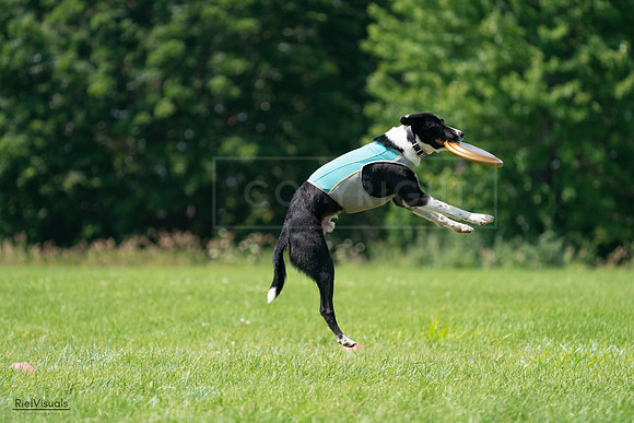 RielVisuals_20240728_115750_SJR02553