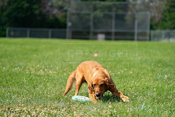 RielVisuals_20240728_104042_SJR08872