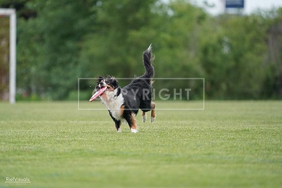 RielVisuals_20240525_164633_SJR05455