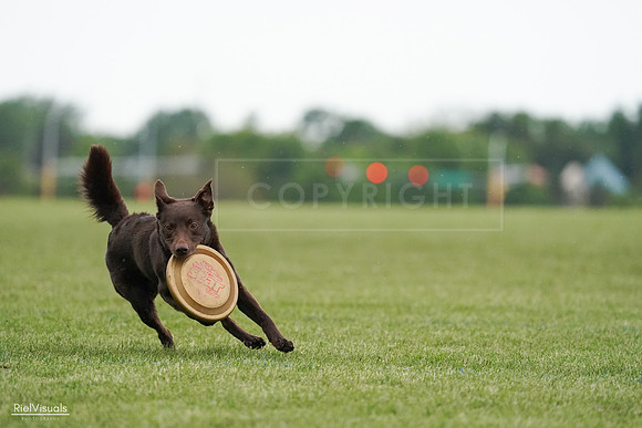 RielVisuals_20240526_091041_SJR09363